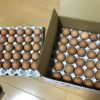 ふるさと納税　究極　米　のり　卵６０個